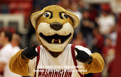 Butch T. Cougar - Washington State mascot